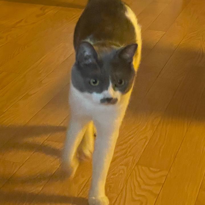 Fca10d73 c52c 4183 9cdb 080bb2982cb3 1627937515895