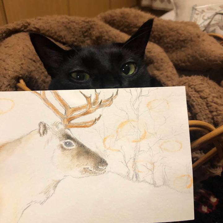 Fca119b8 245c 41d3 a99b 11cea420ef20 1576920270834