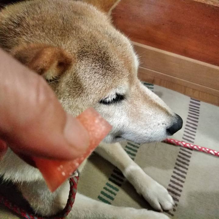 Fca12766 ef96 4168 a87b 5cc575f06938 1564581073810