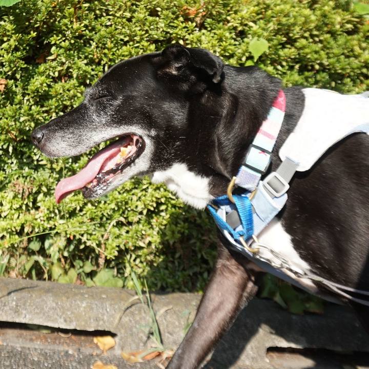 Fca12864 3252 421c 951f 8788c5b42fdd 1756513721513