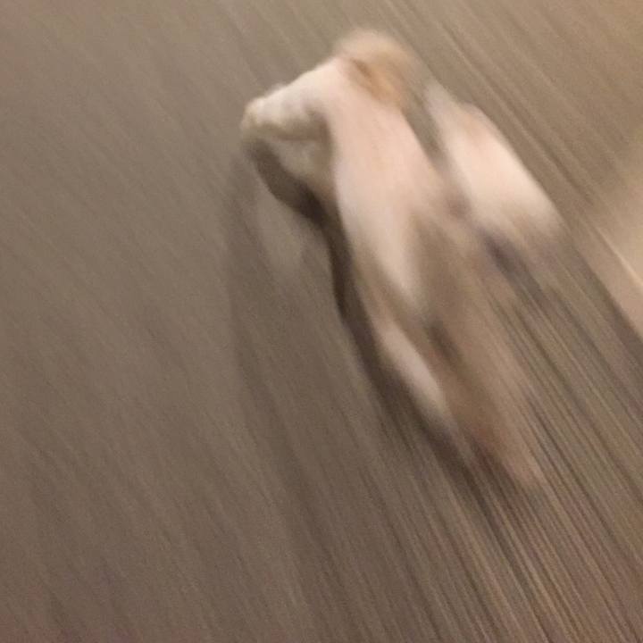 Fca16be0 6b85 46a3 8813 951b8a1bbe8c 1538755141134