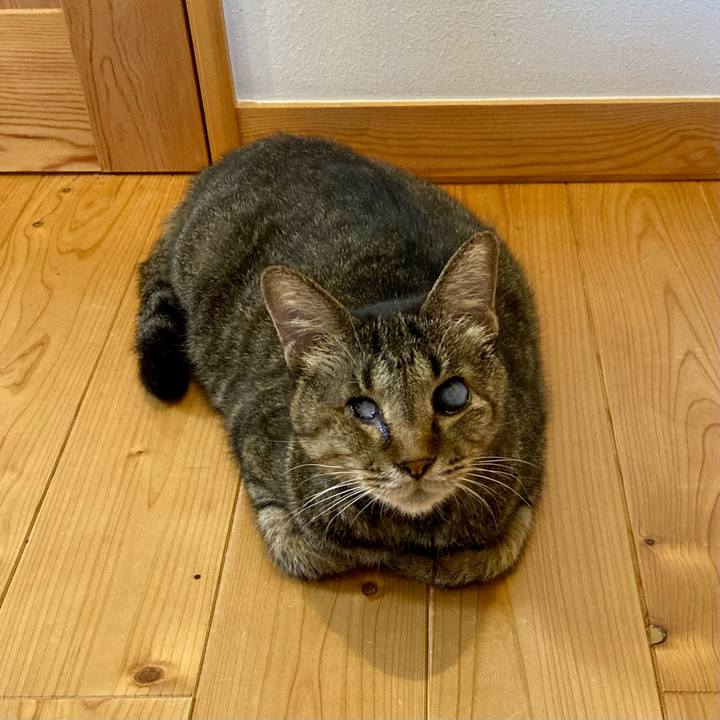 Fca20220 5944 4721 8bbb ccdbde3563c1 1663483774992