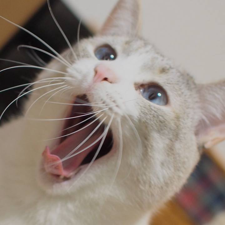 Fca206cc 18db 405c 897d e403dc2fd6e1 1549105530247