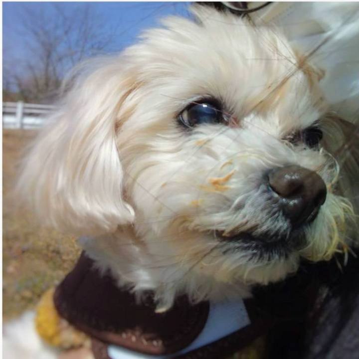 Fca22817 4a55 48e9 bf0f e5434188f463 1764070421518