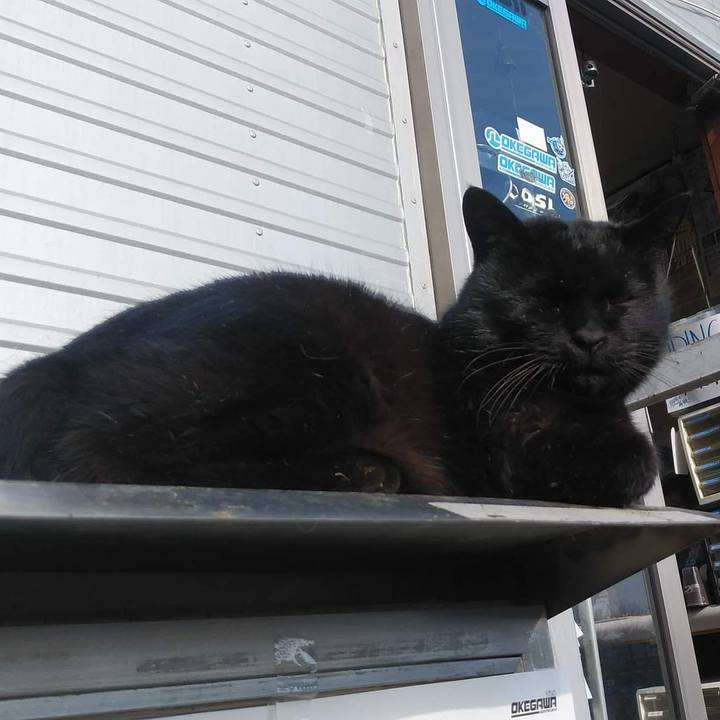 Fca23c48 6a02 49a2 8667 17fc35c3d6ea 1646129474090