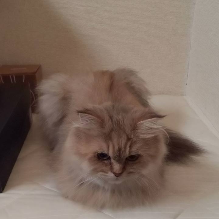 Fca24303 fd5b 4416 b2da b174ff344854 1632705733312