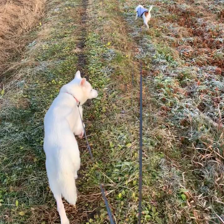 Fca25659 fa80 42fb b76c 1682ececc3f8 1577491195052