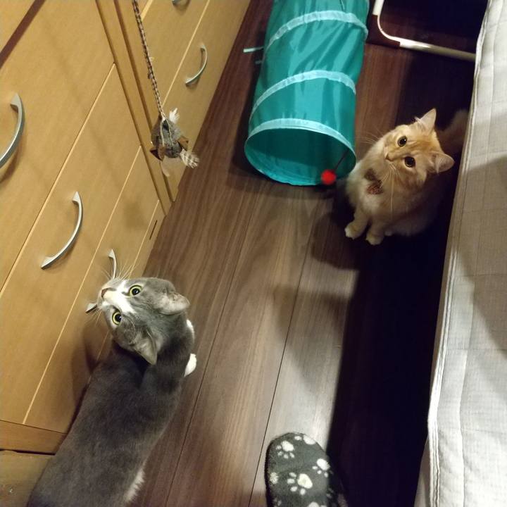 Fca26114 311f 4690 a2e1 ed77082b57a5 1638743284574