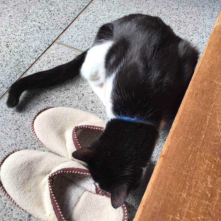 Fca26c34 b7b8 4bd0 a88f 2c95f4548357 1706699610506