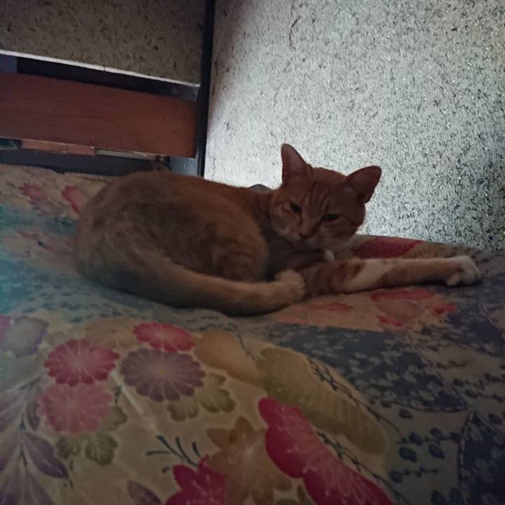 Fca26f6f d749 4949 b5af a6bbcae6f627 1595655010403