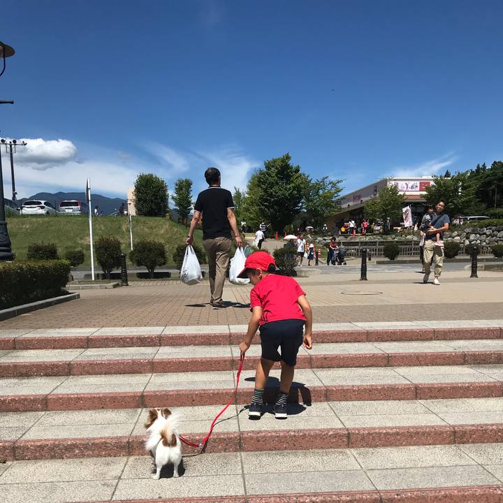 Fca2729e 65d9 4795 bf69 1392025be63d 1534564557053