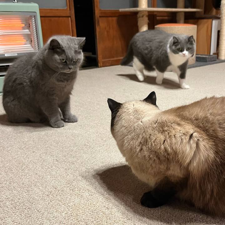 Fca2947f b0fa 4c96 8277 9f92a2593ab1 1651399655527