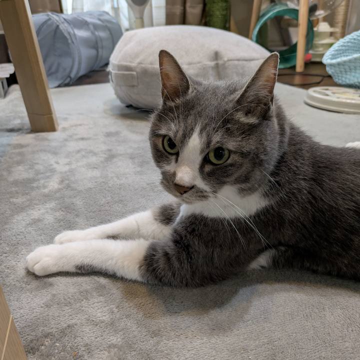 Fca2b4af 15e0 40a5 a8e6 3e67fd4d5d50 1749596743520