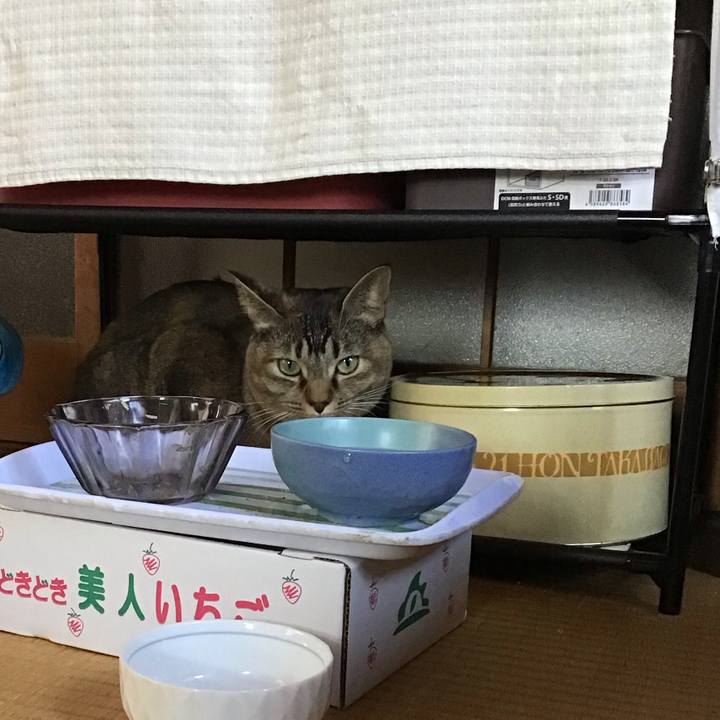 Fca2d91c a219 4a1c 925f 7a213ea29674 1637642574213