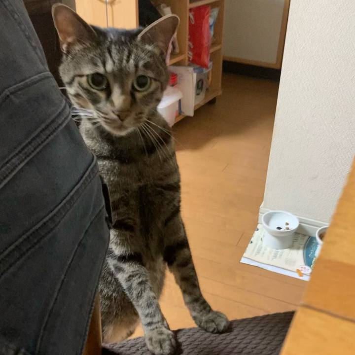 Fca360ef f342 4890 91c0 c26b649b16a7 1654844564661