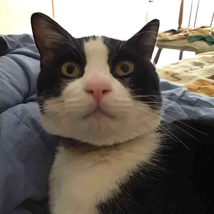 Fca380c5 3c7c 4a0c 9206 c66bde7b5f50 1650773780045