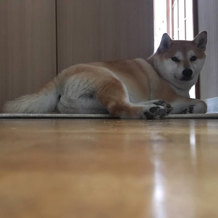 Fca3893d ea5a 4da5 8376 0e80a3de03ba 1569210122102