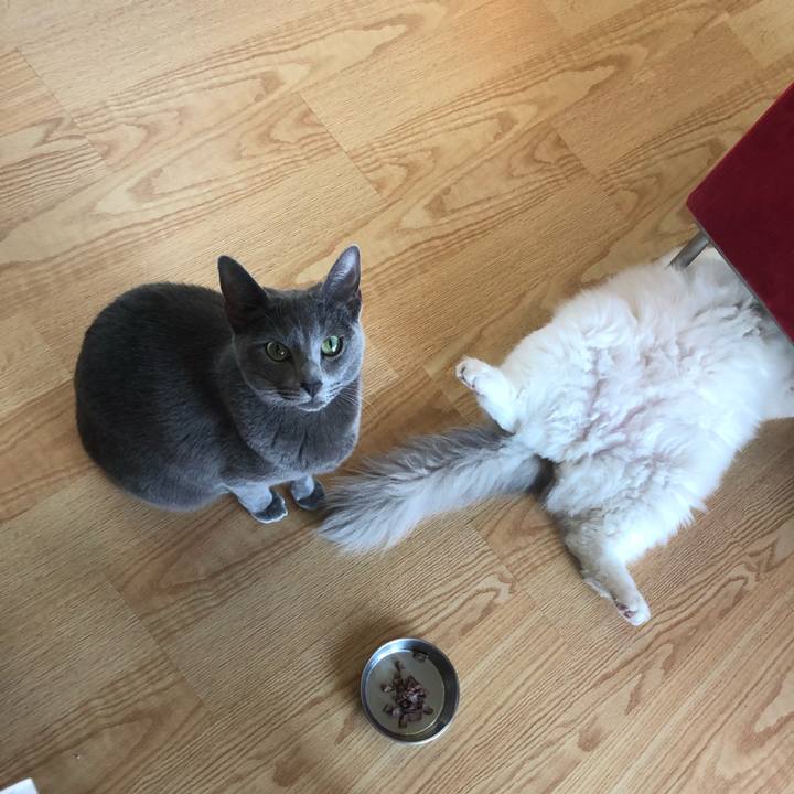 Fca39939 15c8 40fd 84c8 e2e32df14fec 1562210246651