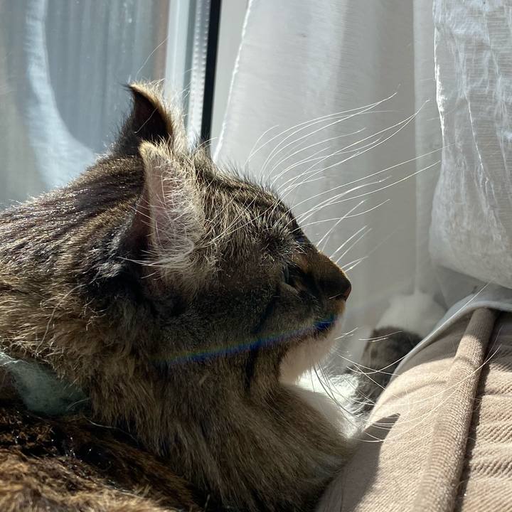 Fca3fa06 dee4 49ca b34e 666a2ec0b915 1614484707419