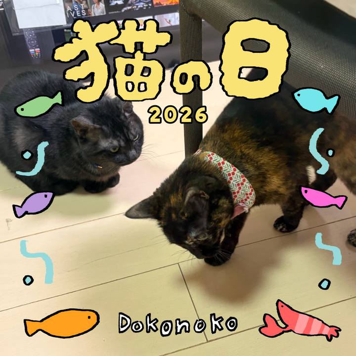 Fca3fb9d 0150 43d4 bd45 8281f181f3e6 1771787787118