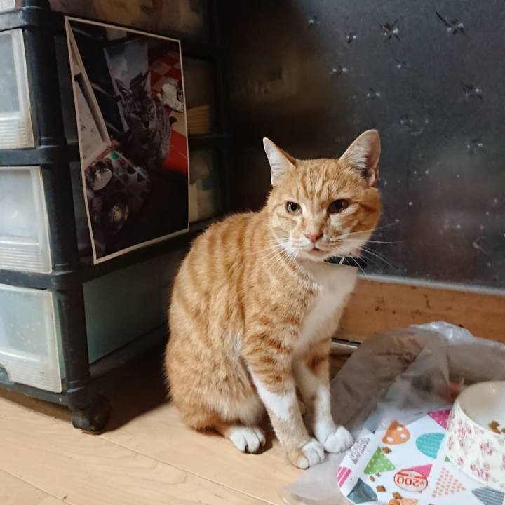 Fca42e35 ffbe 4379 bd94 e57ed16881f5 1603362769926