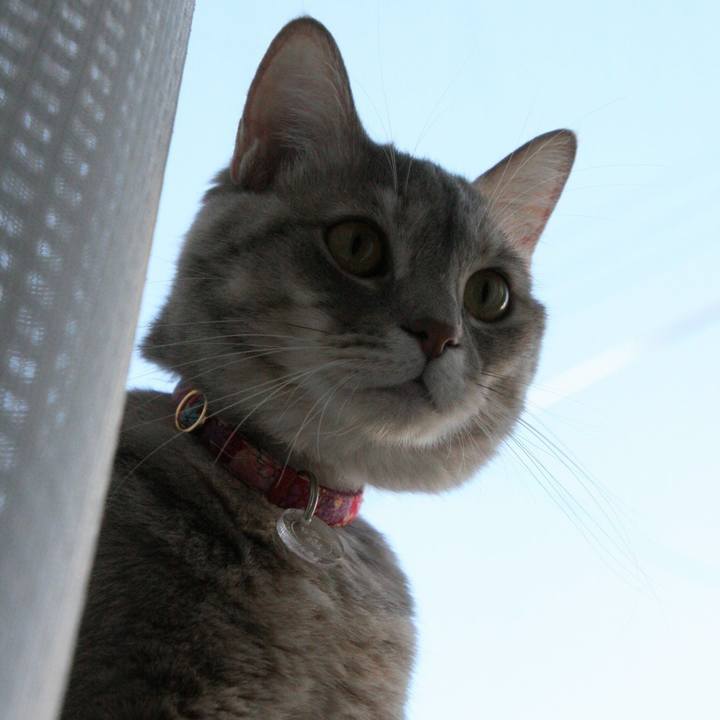 Fca4495b ed6f 482d a6a5 a60a5f5baa22 1509841260540