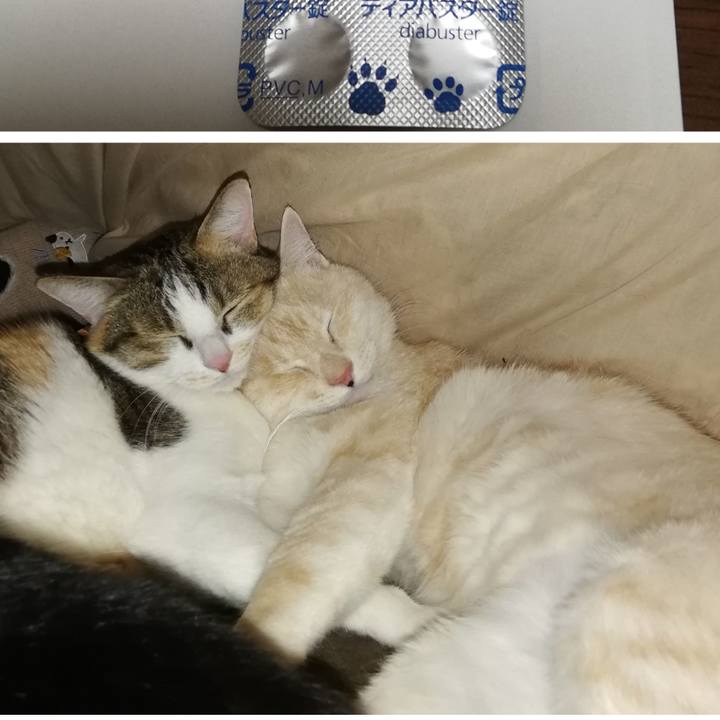 Fca46829 92a4 4ac3 ad67 6e4b5d82212a 1710050073756