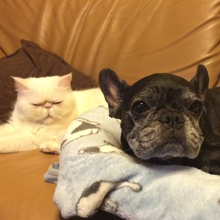 Fca47bf6 4319 4e60 ae32 20beef6ca5ac 1558439346494