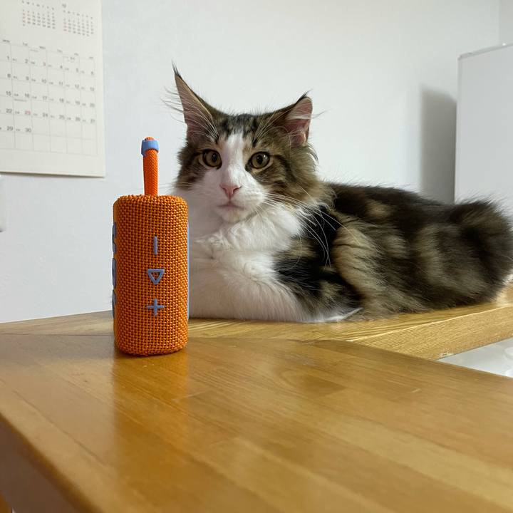 Fca48151 7432 4c68 9e01 068b026fcd7d 1635888786139