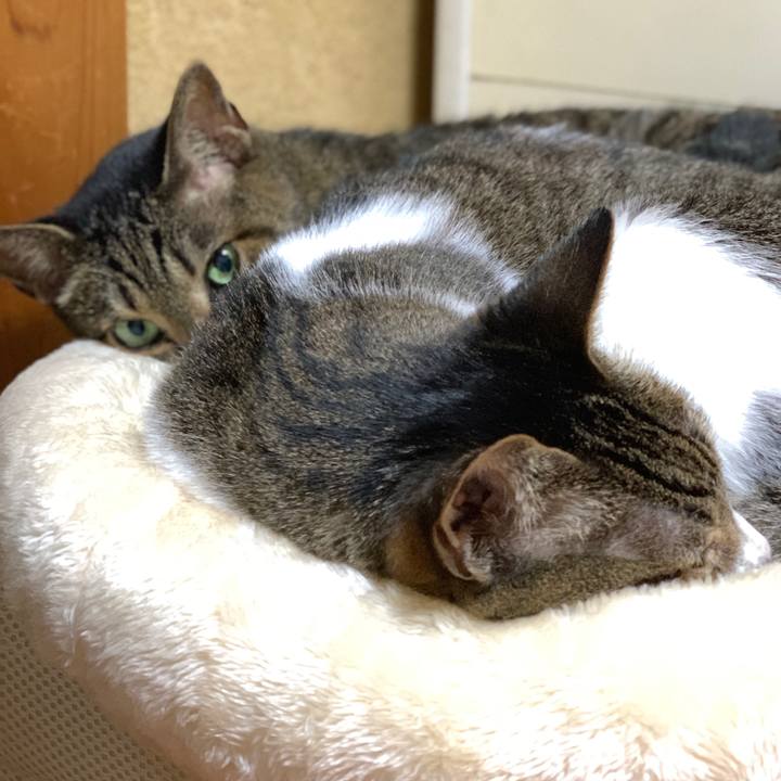 Fca4819d 9a9e 4bd1 9405 819a1bbd9b3b 1599700664374