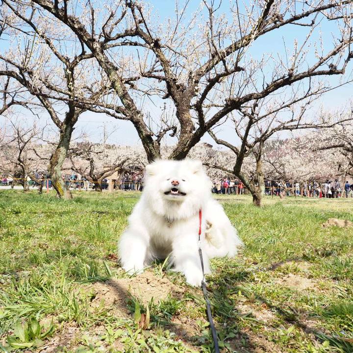 Fca4a6b6 cb29 40d2 b9b1 0017e39dce51 1521382482630