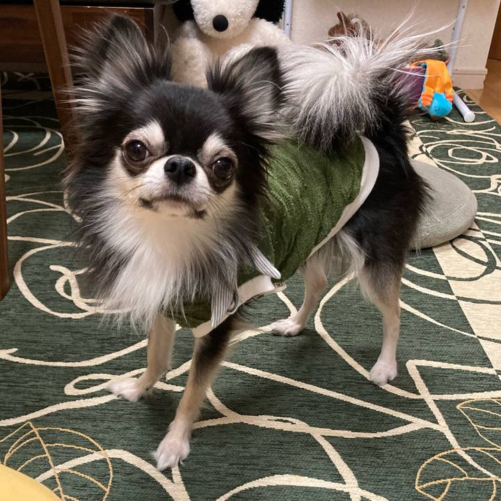 Fca4c435 b725 478f 9905 a2a413819d0b 1638022048313