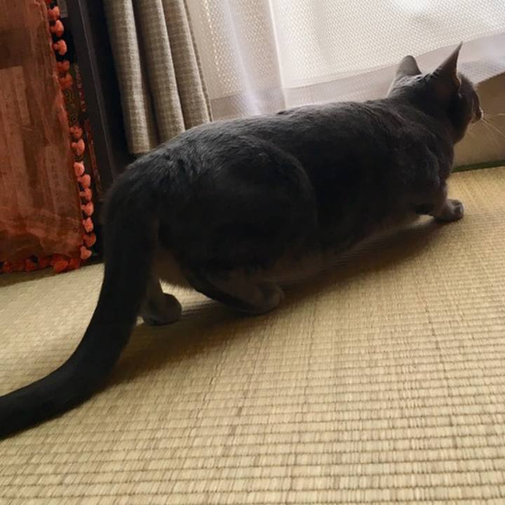 Fca4e9dd 07a0 4411 8171 b9ffaf345e2e 1558226183131