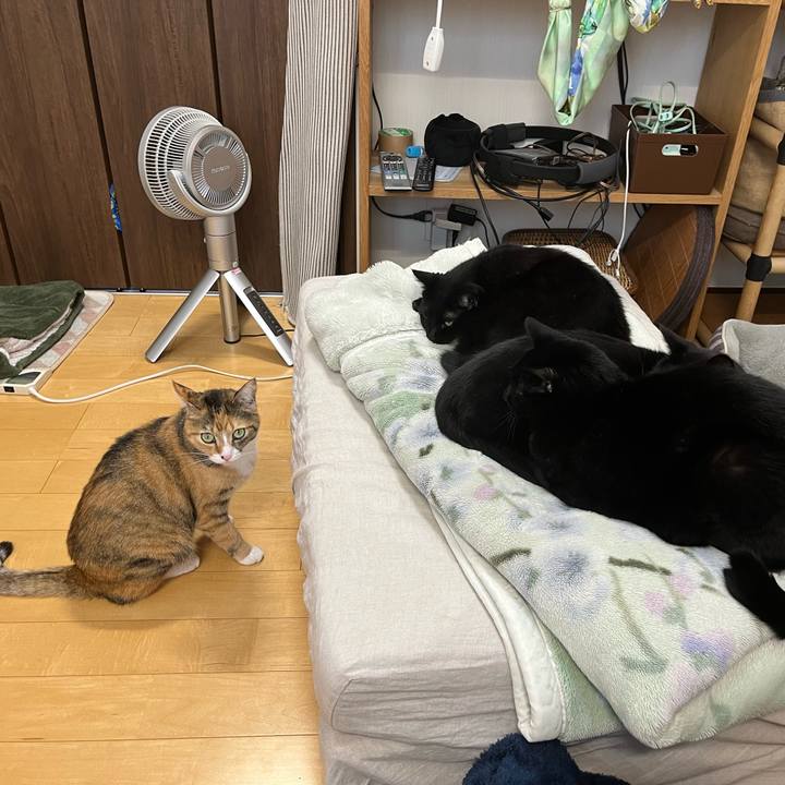 Fca50543 0e26 4fdf aeff f3dc14de200c 1700701098114