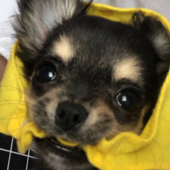 Fca5c15b a482 4e0c a9a8 9405c74517db 1536357648167