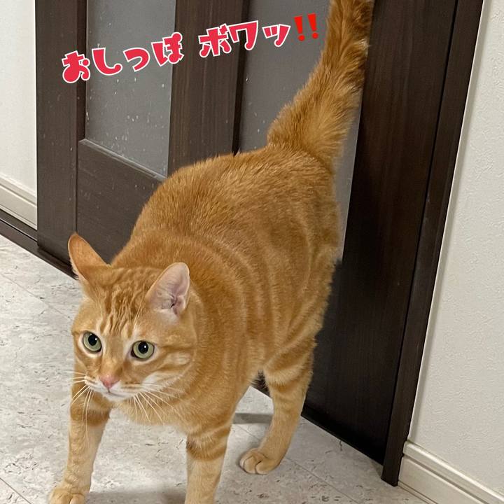 Fca62d21 6c94 4ead ae13 e5633a43856d 1689802287180