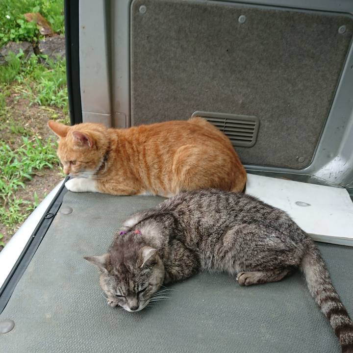 Fca645e0 254c 438b 9244 649a361ffa27 1594441782724