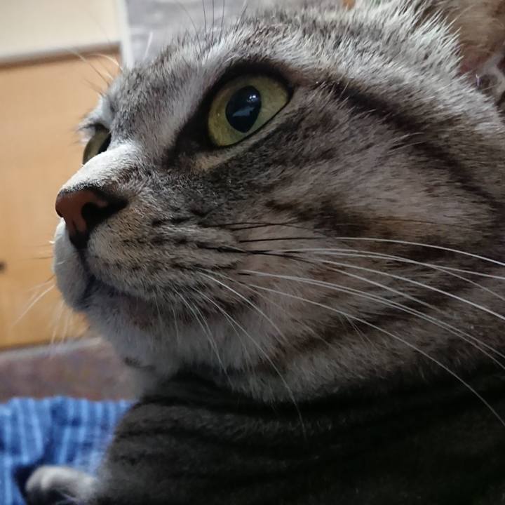 Fca64854 c9bb 4c84 9090 99c2bfbd769e 1544271707665