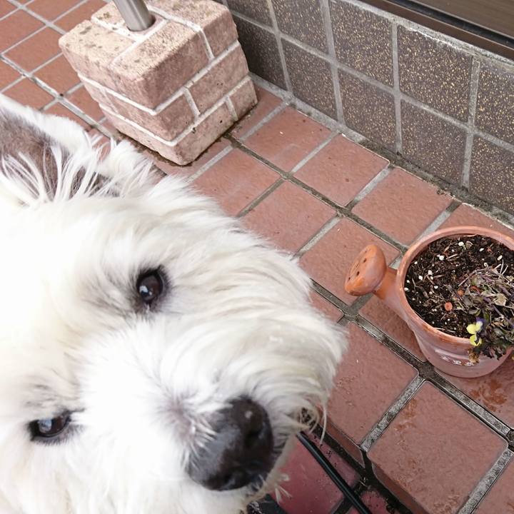 Fca6b154 ef23 4996 90a6 65f1deada661 1518184041949