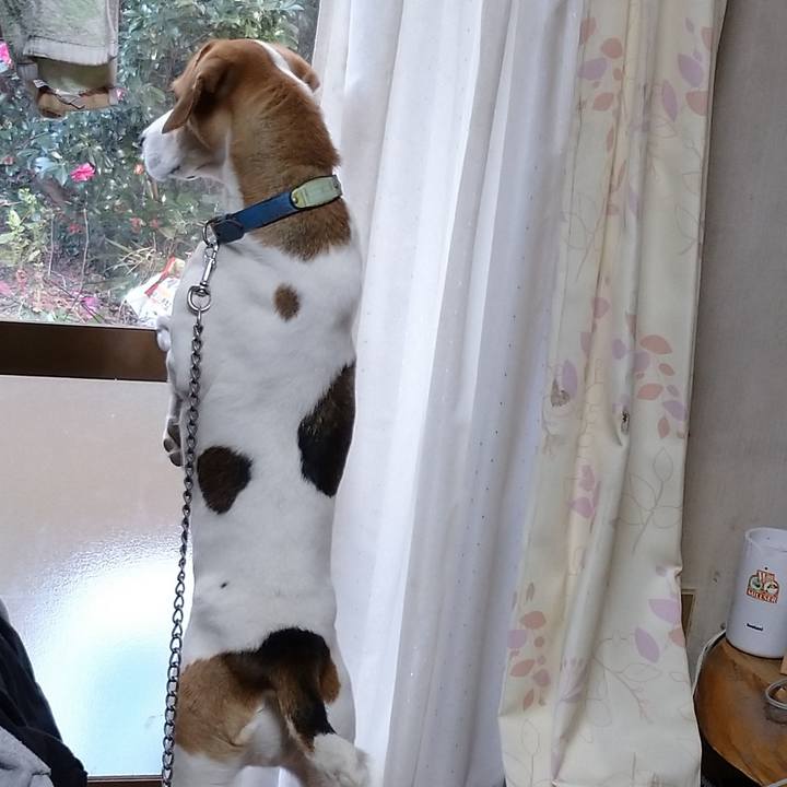 Fca6b92f 46ac 4663 8299 b146465a105a 1608102852557