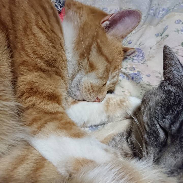 Fca6d96a fb9a 40db 93a7 9182f6934720 1576067601357