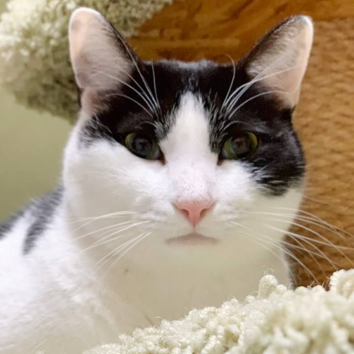 Fca6f84f 8743 4541 81cb 3b6dac9752eb 1549332100267