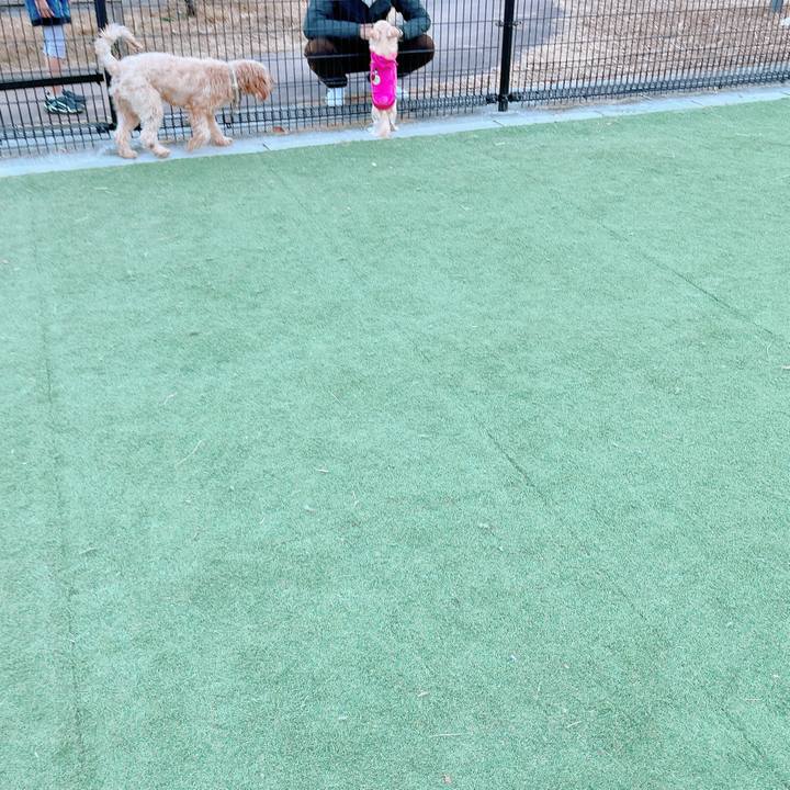 Fca742cb be83 4508 8e11 cb469933606f 1672728042635