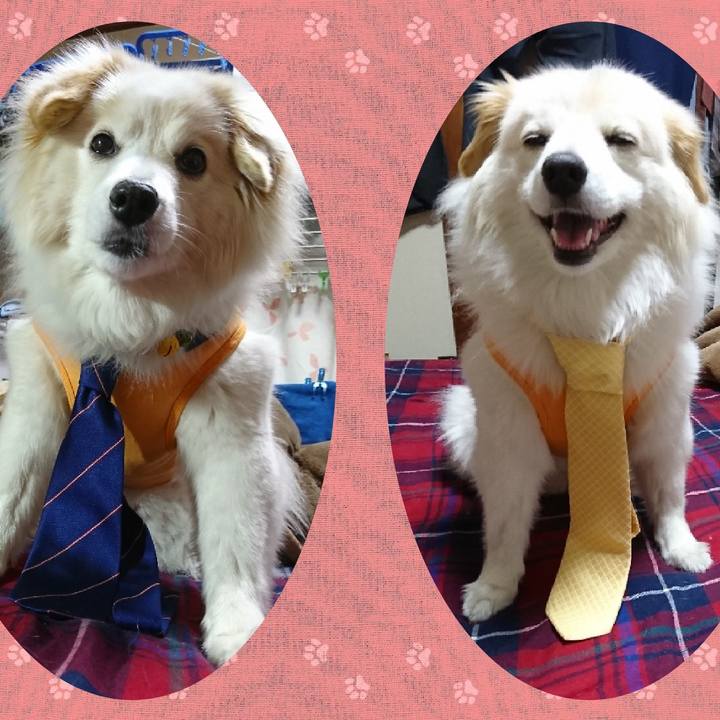 Fca74660 c797 4d2f a96e e1b95784166b 1529058332359