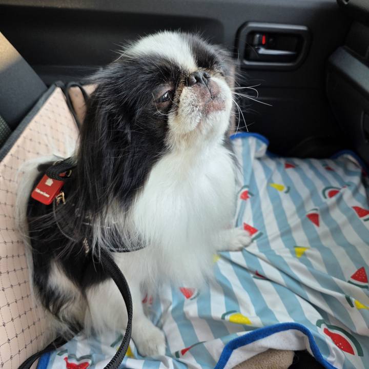 Fca75346 7e77 407a b176 1b8eb6b40b87 1754727047117