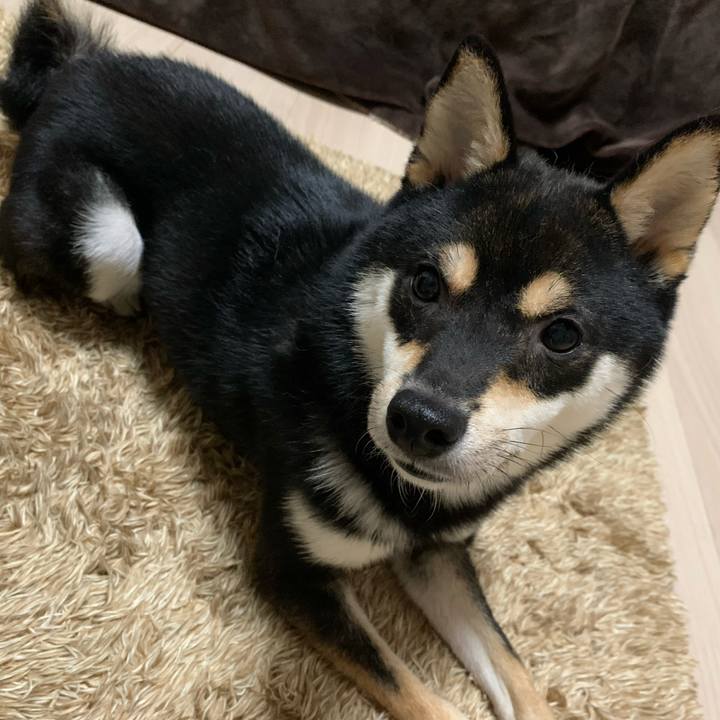 Fca795aa beca 4c52 9e8b 66e6b761de8d 1586955002236