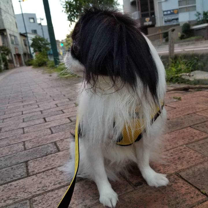 Fca7bb08 5e91 4941 9d24 0c9ffa52ef54 1659413060475