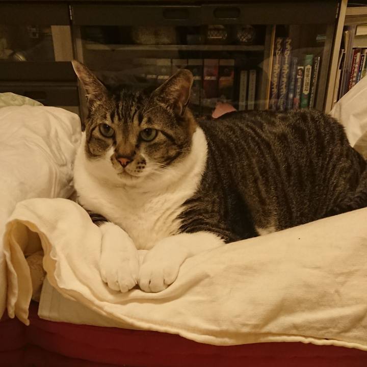 Fca7de3a 950e 4ae0 a9a8 05bc89055102 1574471896141