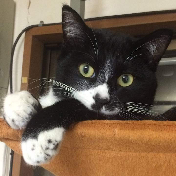 Fca7fb7d 2131 4799 b388 320ff61578ab 1516435463134