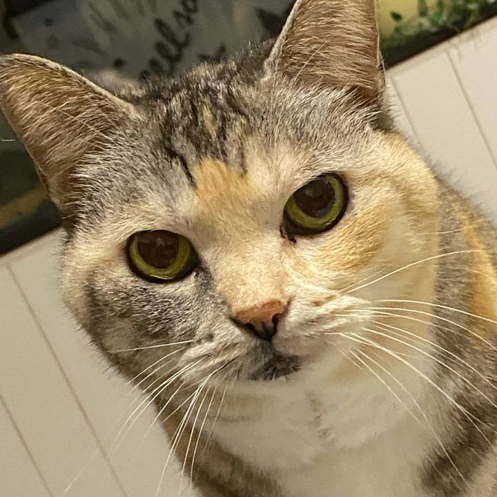 Fca7fc05 33ae 4c1e 9e07 6e2faca001e0 1670864279145